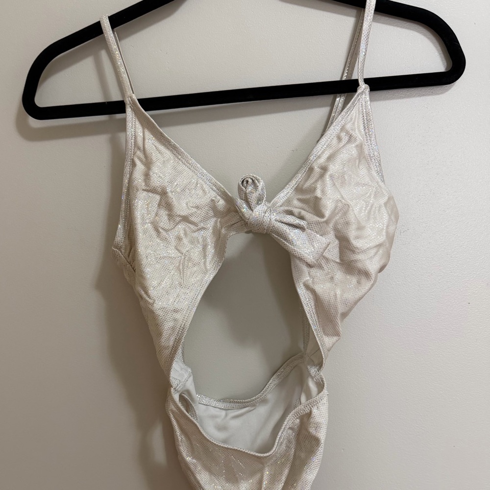 Dippin' Daisy's Shimmering Silver One-Piece Swimsuit